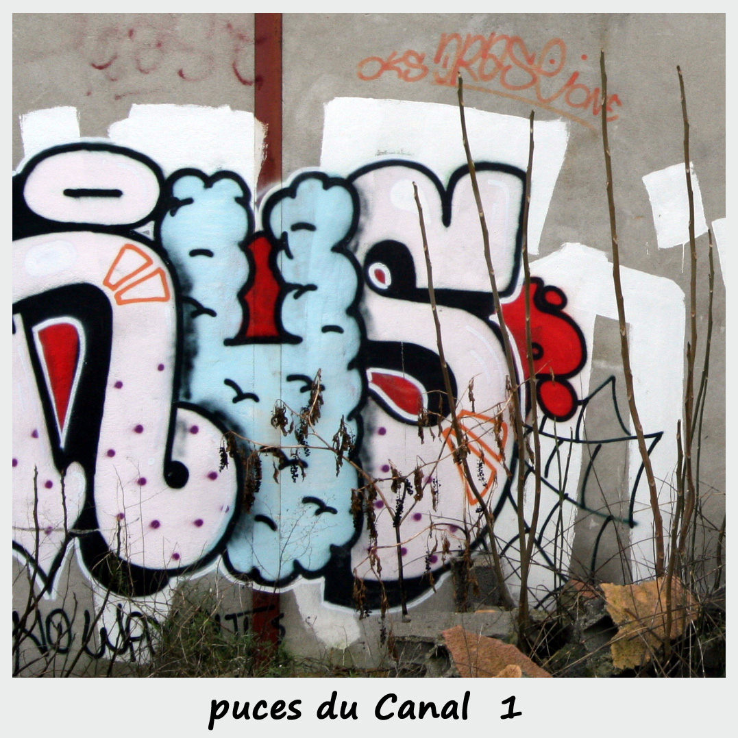 puces du canal 1
