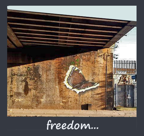 Camberwell Christophe liberté 13 nov 2019